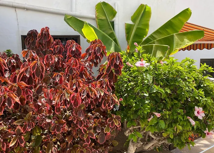 Deluxe Perla Del Sur *